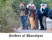 Birders at Bharatpur